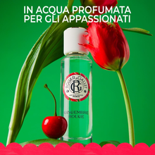 Carica l'immagine nel visualizzatore di Gallery, Roger&Gallet Gingembre Rouge Latte Corpo di Benessere 250 ml