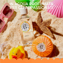 Carica l'immagine nel visualizzatore di Gallery, Roger&Gallet Néroli Latte Corpo di Benessere 250 ml