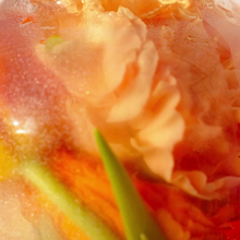 Carica l'immagine nel visualizzatore di Gallery, Roger&Gallet Acqua profumata Fleur d'Osmanthus, 30ml