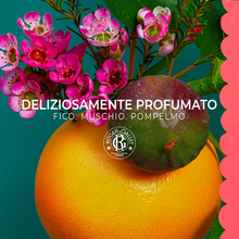 Carica l'immagine nel visualizzatore di Gallery, Roger&amp;Gallet Fleur de Figuier Latte Corpo di Benessere 250 ml
