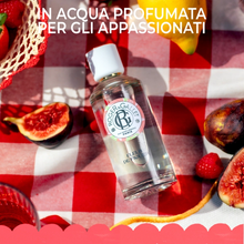 Carica l'immagine nel visualizzatore di Gallery, Roger&amp;Gallet Fleur de Figuier Latte Corpo di Benessere 250 ml
