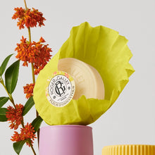 Carica l&#39;immagine nel visualizzatore di Gallery, Roger&amp;Gallet Saponetta di Benessere 100 g
